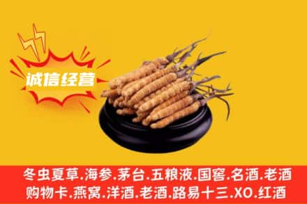 大理回收冬虫夏草